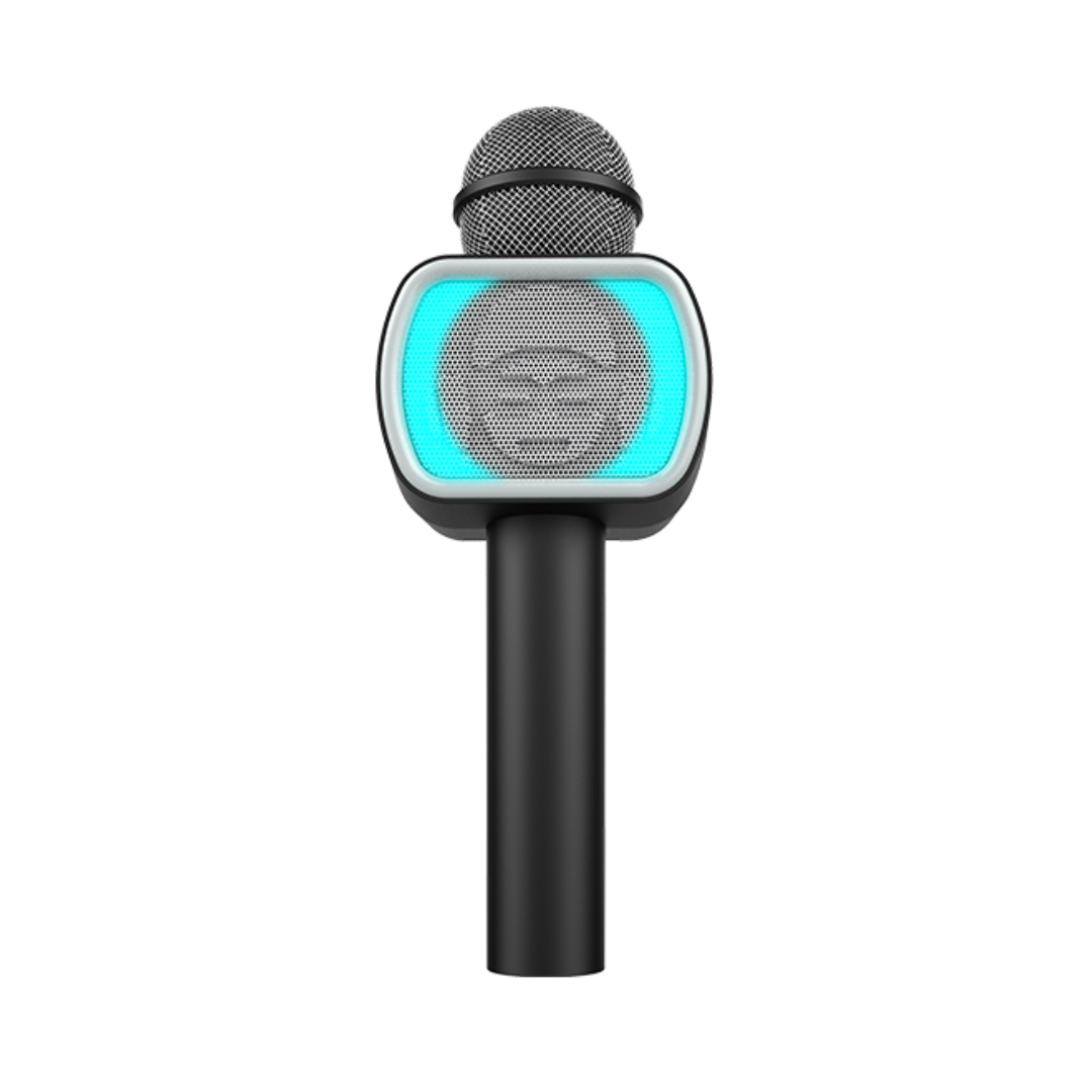 Micro MIC PARTY PM20