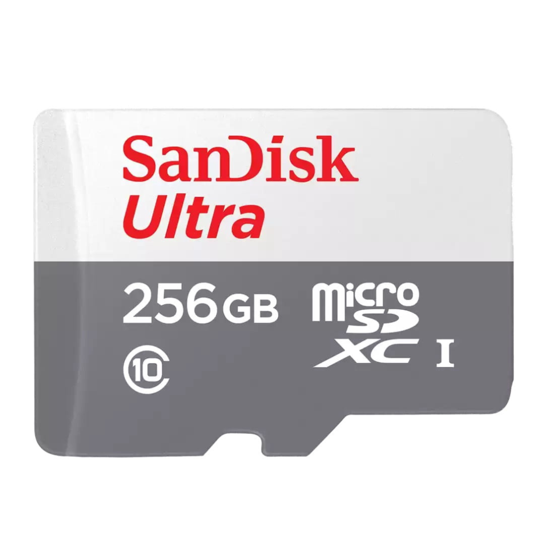 Carte Mémoire 256 GB 100MBS