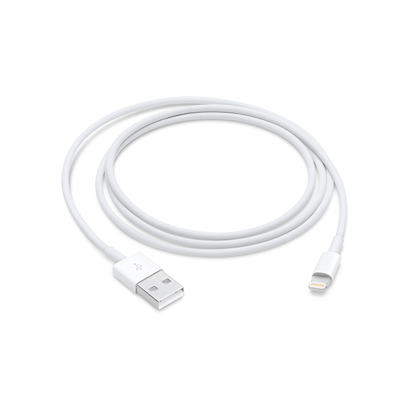 Câble lightning vers USB 1m