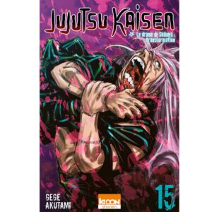 Jujutsu Kaisen Tome 15