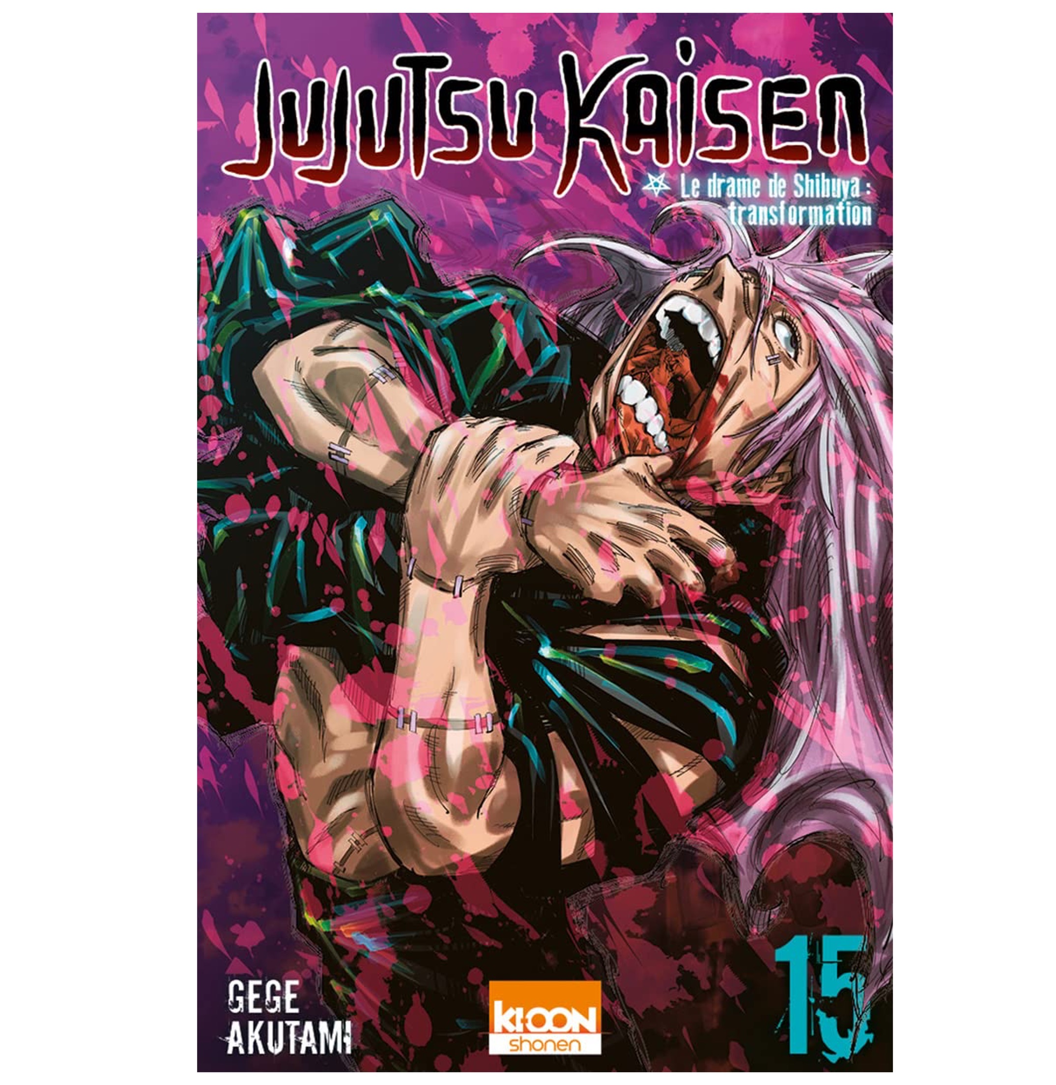 Jujutsu Kaisen Tome 15