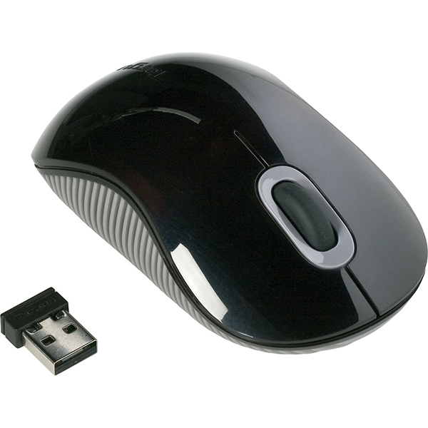 Mini Souris sans fil Noir