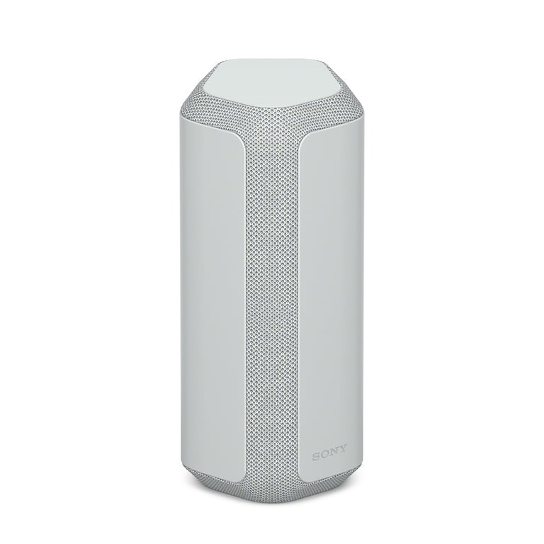 Enceinte portable SRS -XE300 - Gris