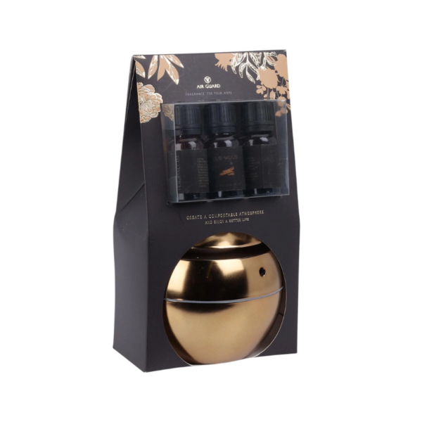 Design sans titre - 2025-01-08T160517.361